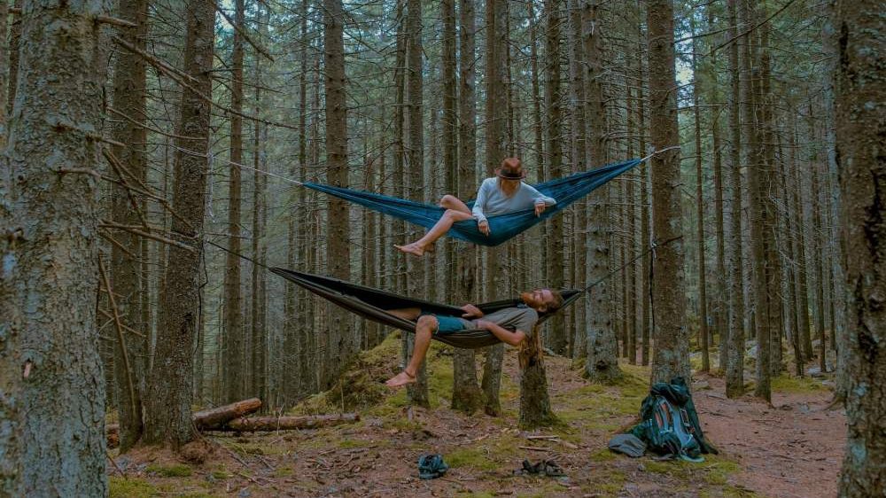 Pros and Cons of Hammock Camping (Major Points) Travelers Door